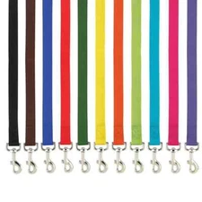 Casual Canine Dog Nylon Leash, Swivel Clip,  5/8" 1" wide  4, 6 foot Lead
