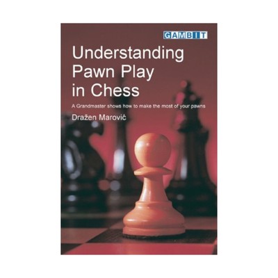 Gambit Reference Book Understanding Pawn Play in Chess  VG+
