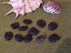 Picture 2 of 3