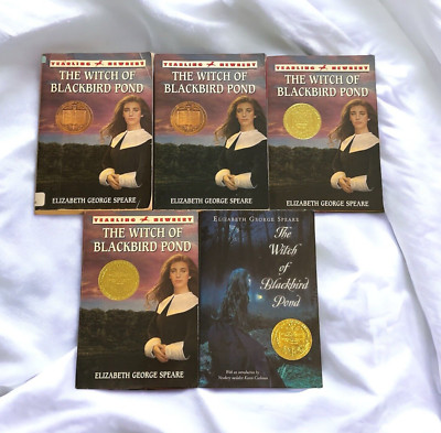 Set 5 Witch Blackbird Pond Guided Reading Literature Circle Classroom Teacher