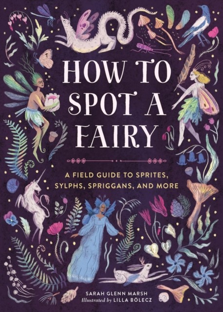 How to Spot a Fairy by Sarah Glenn Marsh (Hardback Book) - Image 4