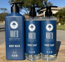 Lot 3 ROOTS AROMATHERAPY Body Wash   Hand Soap   Brown Sugar  Fig Scent