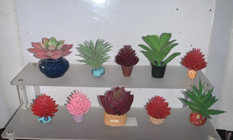Barbie Size Dolls Lot Of Cactus & Succulent Plants For Dioramas And Play