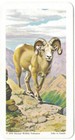 Bild 90 von 91