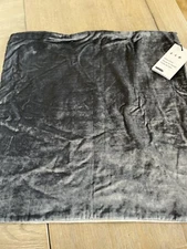 West Elm Lush Velvet  Pillow Cover 20" slate