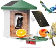 Solar Bird Feeder Camera, AI Species ID, Smart Wireless Bird Watching