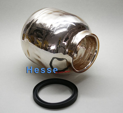 Bosch Thermokolben incl. Dichtring passend zu Thermokanne TKA8SL1 Solitaire 
