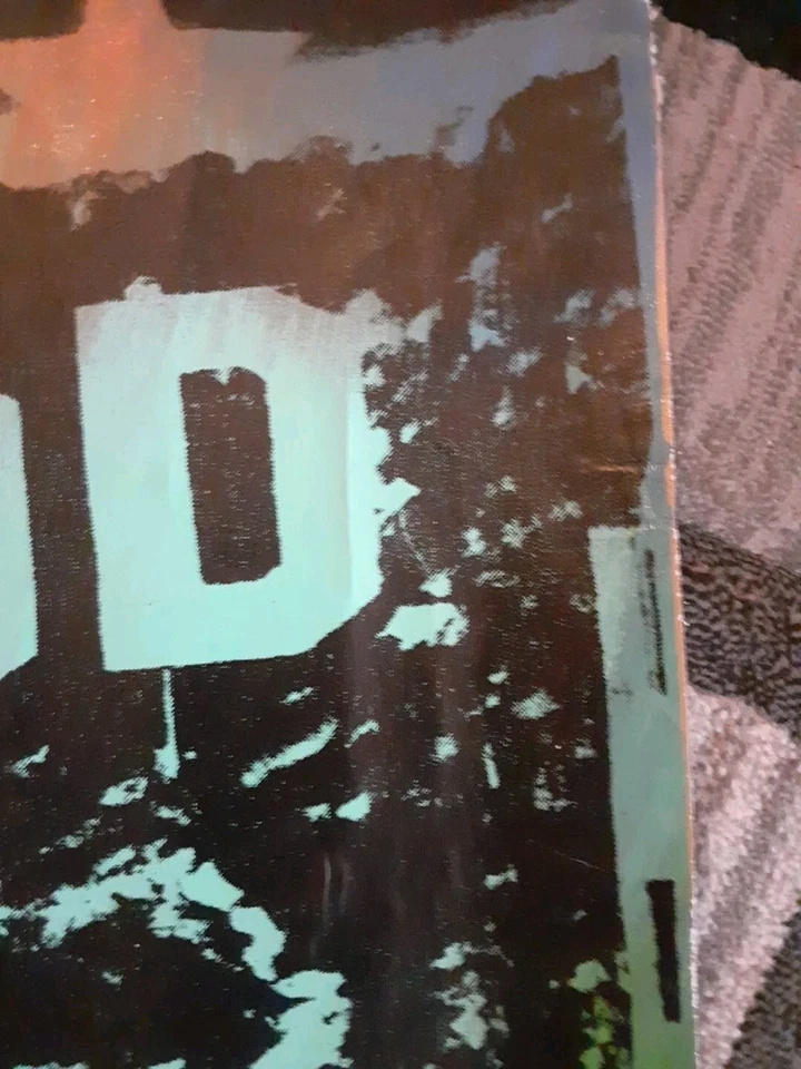 Steve Kaufman Hollywood serigrafía sobre lienzo 26x36 pulgadas aprox.  Firmado.   Foto 4 de 4