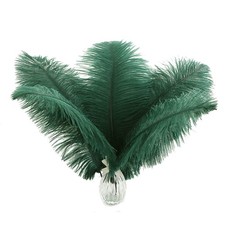 Green Long Ostrich Feathers - 12Pcs 14-16inch Large Feathers for Tall Vase,We...