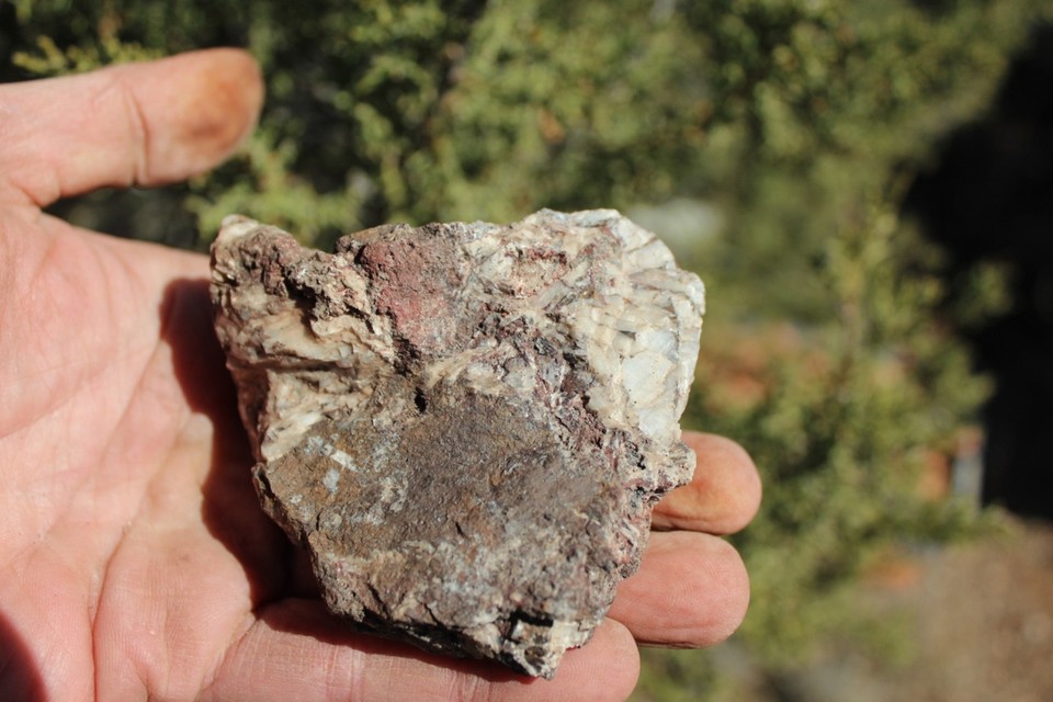 Ore Rere MINERAL SILVER SULPHIDE ORE Rare Locality in New Mexico Specimen #39 ...