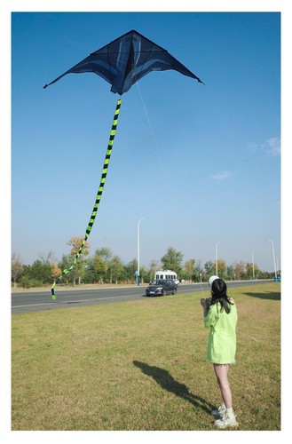 Cometa Delta Yongjian 2m - Cometa grande para acampar playa al aire libre para adultos y niños - Imagen 22 de 24