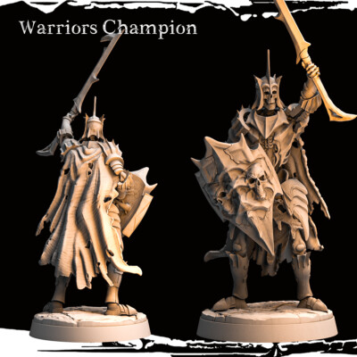Warriors Champion by Monolith Arts | D&D | DnD | Print on Demand