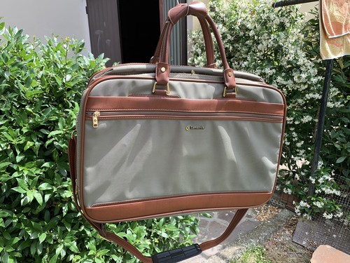 Set di 3 Valigie SAMSONITE porta abiti | eBay