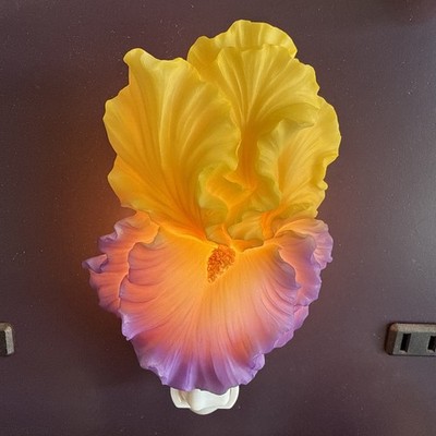 Ibis And Orchid Design Yellow,Purple Iris Night Light New In Box Rare/Retired