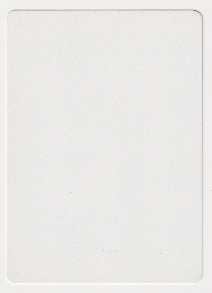 Signed Portuguese Reclamation Proof LP Ice Age Artist Dameon Willich MTG AP Rare - Image 2 of 2