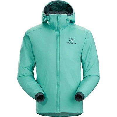 Arc'teryx Atom LT Hoody / Galactica 