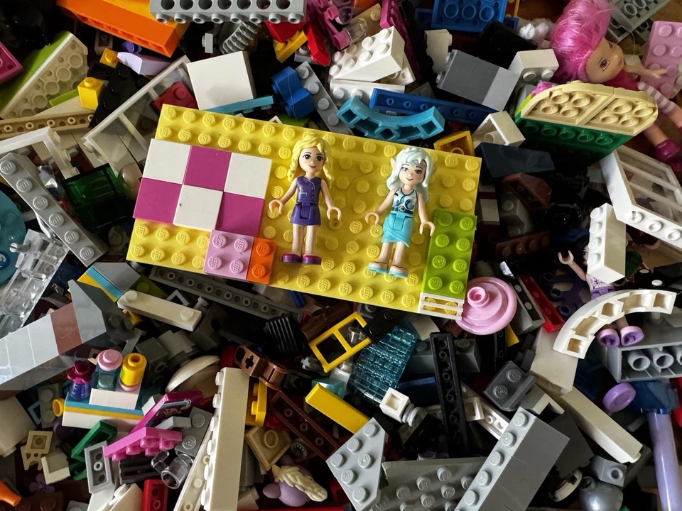 ~LOTE LEGO Friends~3 lb~Incl 5 MINI FIGURAS+5 animais~GOLFINHO~Cão~Coelho~Tartartaruga+~ - Imagem 3 de 4