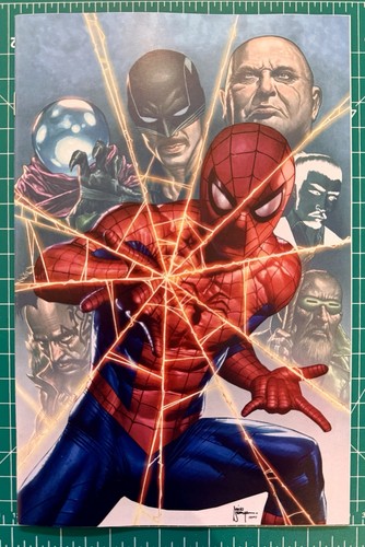 ULTIMATE SPIDER-MAN #17 • MICO SUAYAN • DALLAS FAN EXPO • TRADE/VIRGIN SET🔥🔥 - Picture 4 of 5