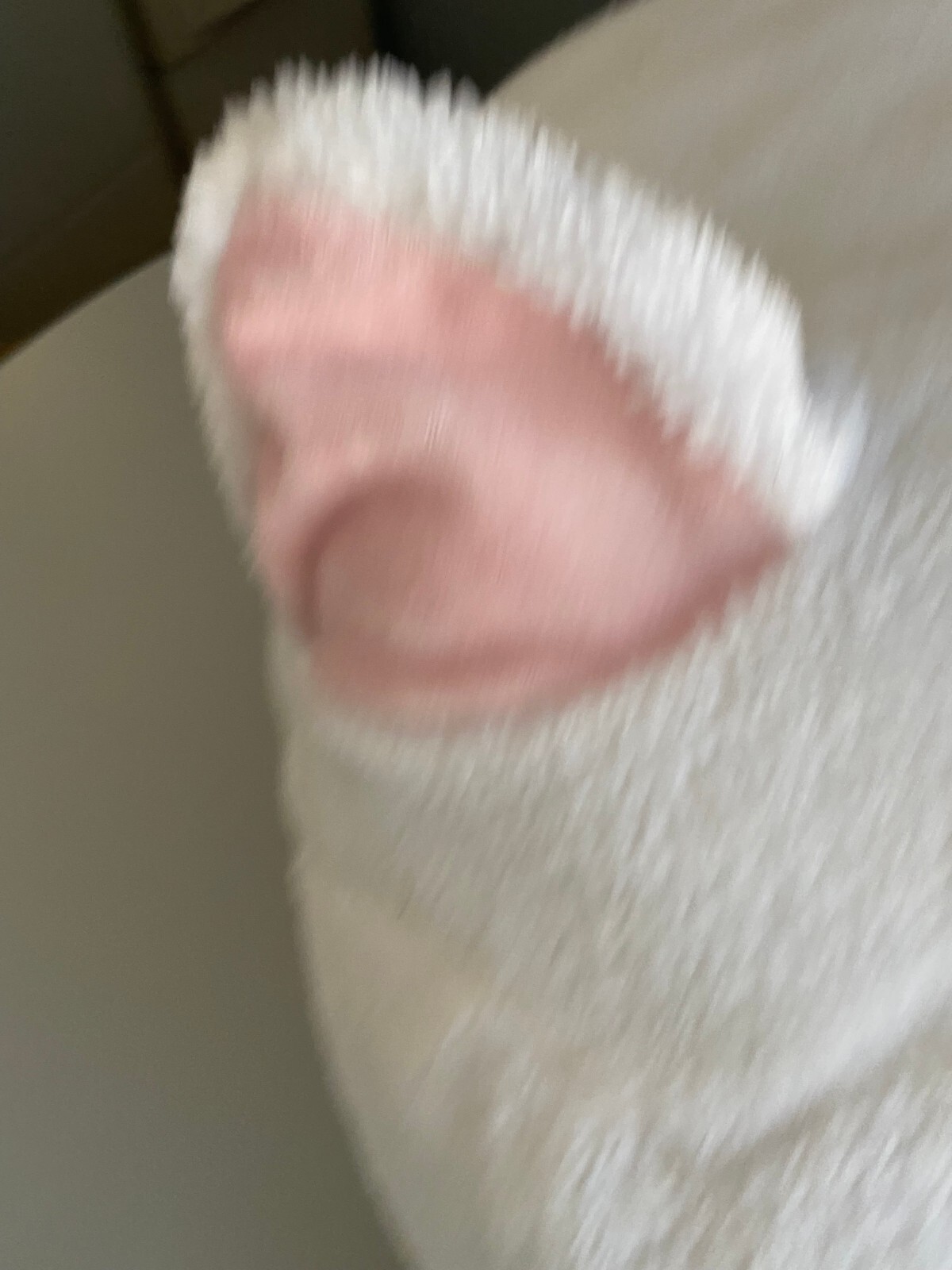 Picture 6 of 7