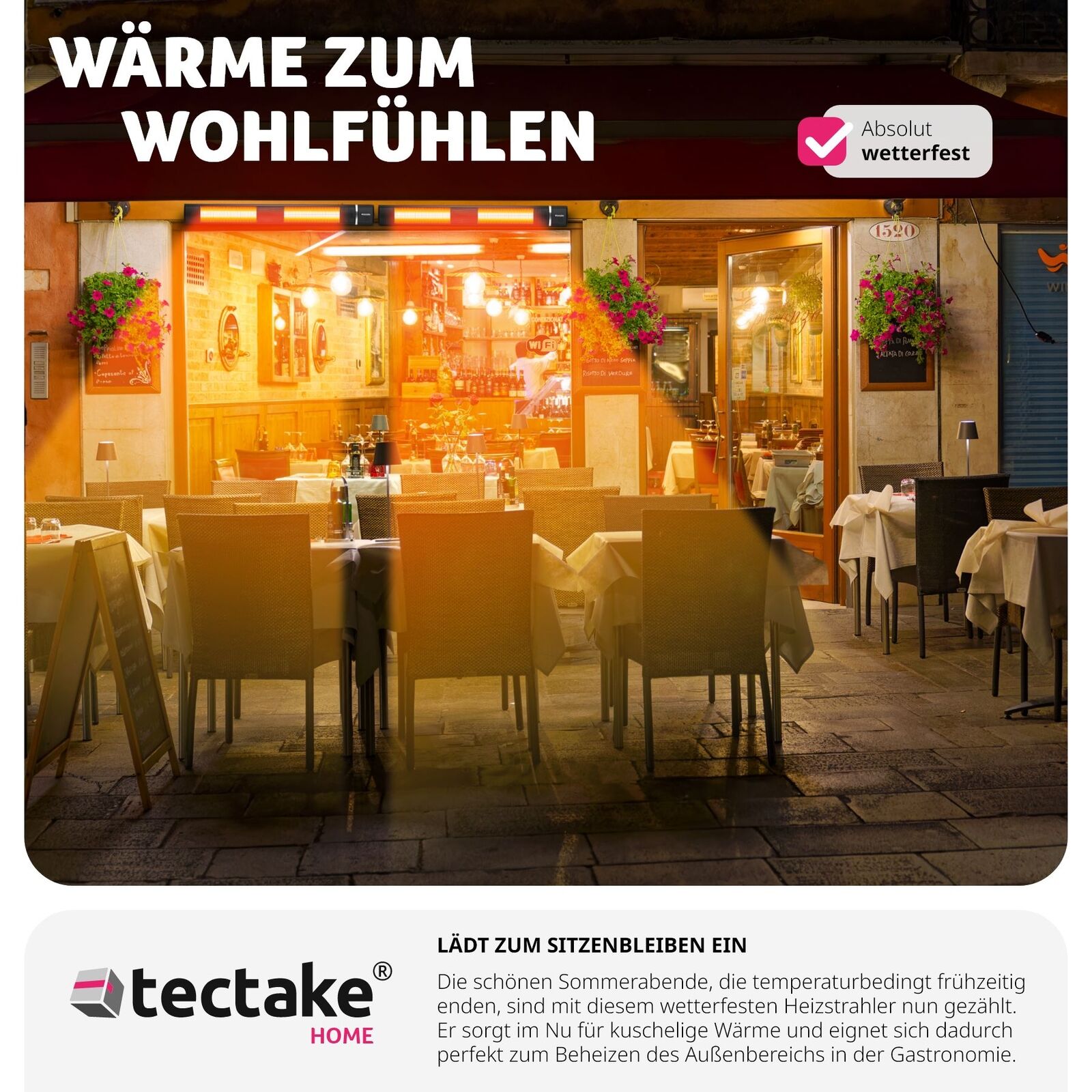 Bild 9 von 12