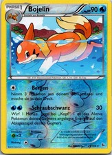 Pokémon Bojelin 29/106 Reverse Holo - Flammenmeer - Deutsch 2014
