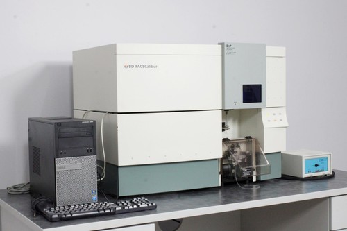 Becton Dickinson FACSCalibur Flow Cytometer | eBay