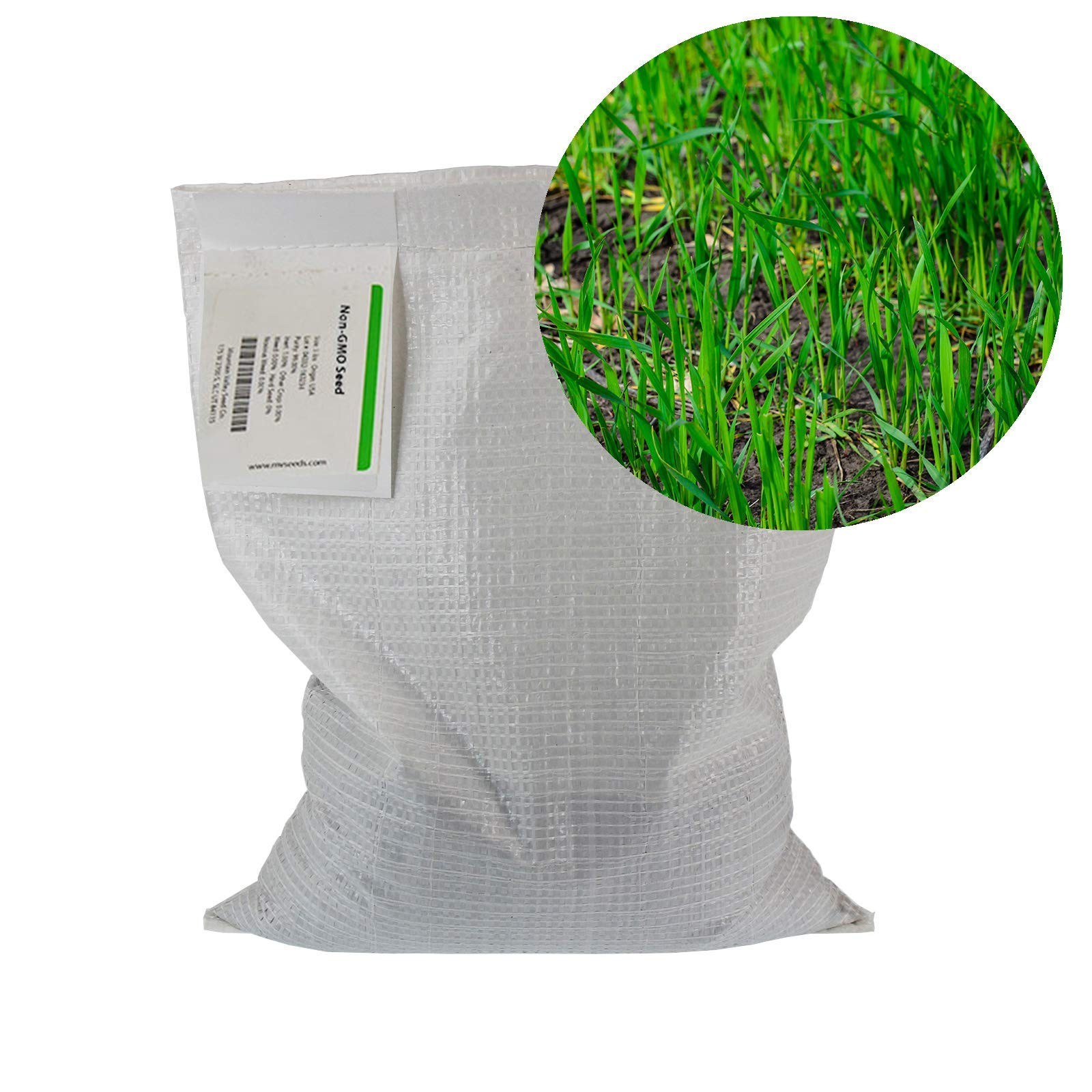 5 Lb Premium Winter Rye Cover Crop Non GMO Soil Boosting Seed for Gardens