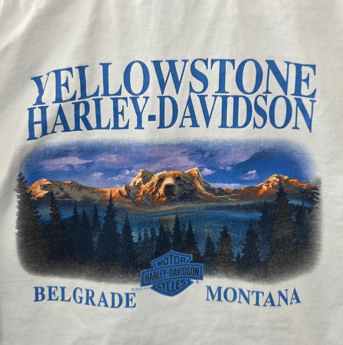 VTG Mens Harley Davidson Y2K YELLOWSTONE Belgrade Montana Long Sleeve Shirt SZ L