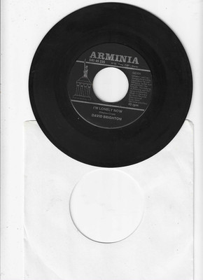 David Brighton Song of life/I'm lonely now  [7'' Single]