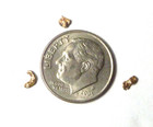 Natural Placer Gold Nuggets .101 grams Alaska Gold — photo 2