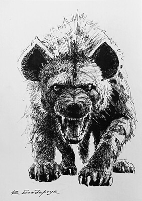 Drawing of a hyena with a black marker. Minimalist black and white
