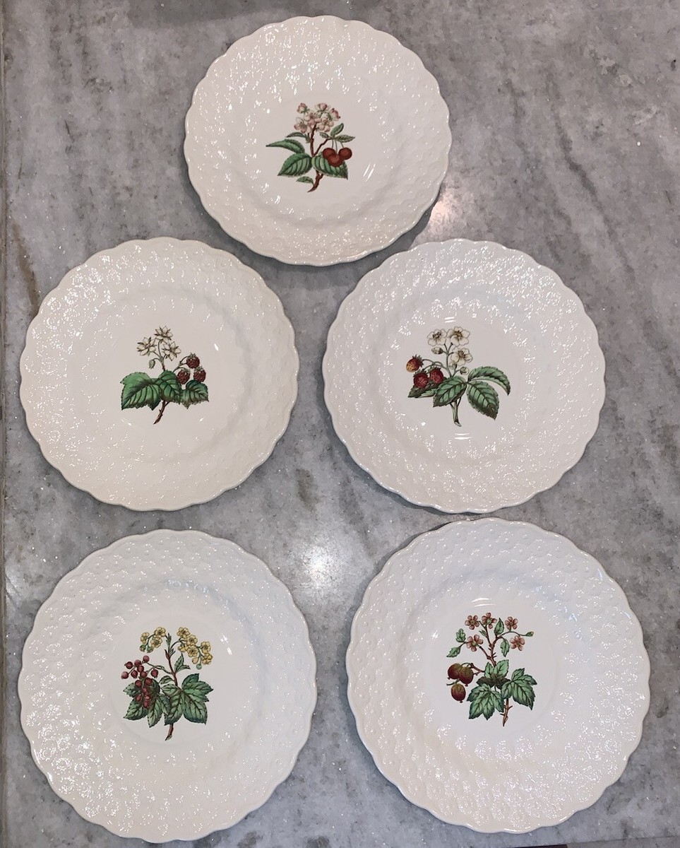Vtg Copeland Spode Set 6 Botanical Berries Fruit Floral Plates