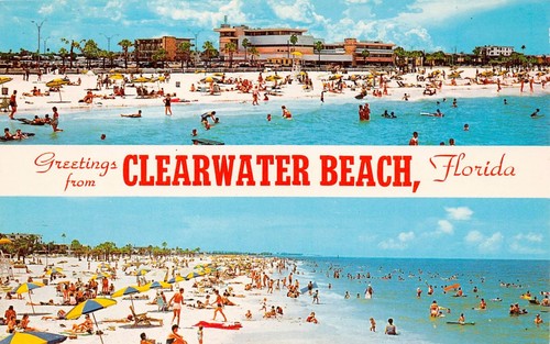 Clearwater Beach FL Florida Travel Vacation Pier 60 Hotel Souvenir Fridge Magnet