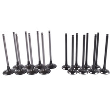 Intake & Exhaust Valves Fit for Kia Optima Rondo 2006-2009 Hyundai Sonata 2006-2