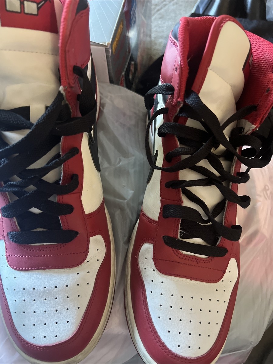 spike lee nike dunks