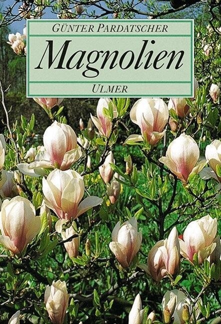 Magnolien Günter Pardatscher