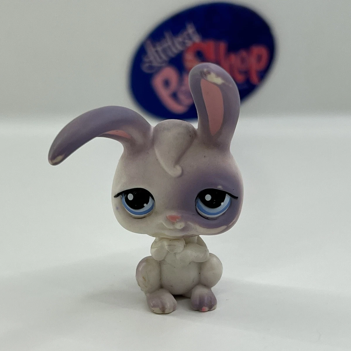 Bunny pet sale shop