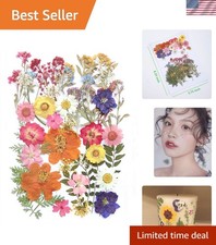 17 Types of Colorful Dried Flowers for Unique DIY Projects  Decorations