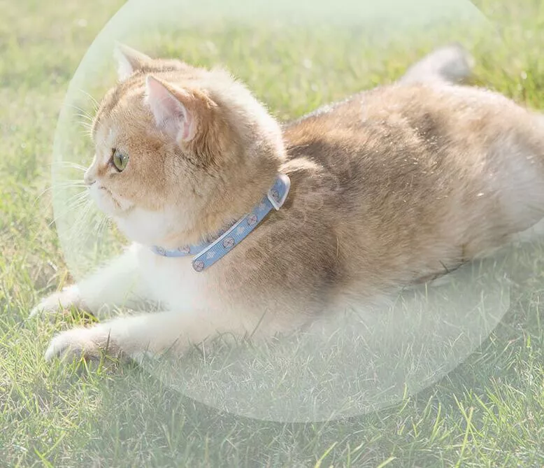 Flea tick hotsell mosquito collar