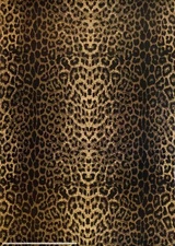 Leopard Print 1990 British Misc