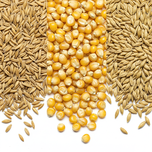 Brewing Grains - Simple EASY Kit for Moonshine Whiskey - 10 Gallon Home Brew USA - Bild 2 von 11