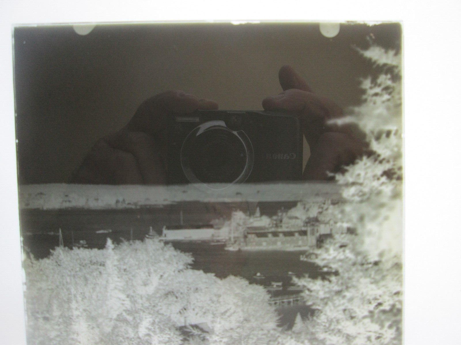 Picture 4 of 8