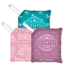 Scentsy Scent pak