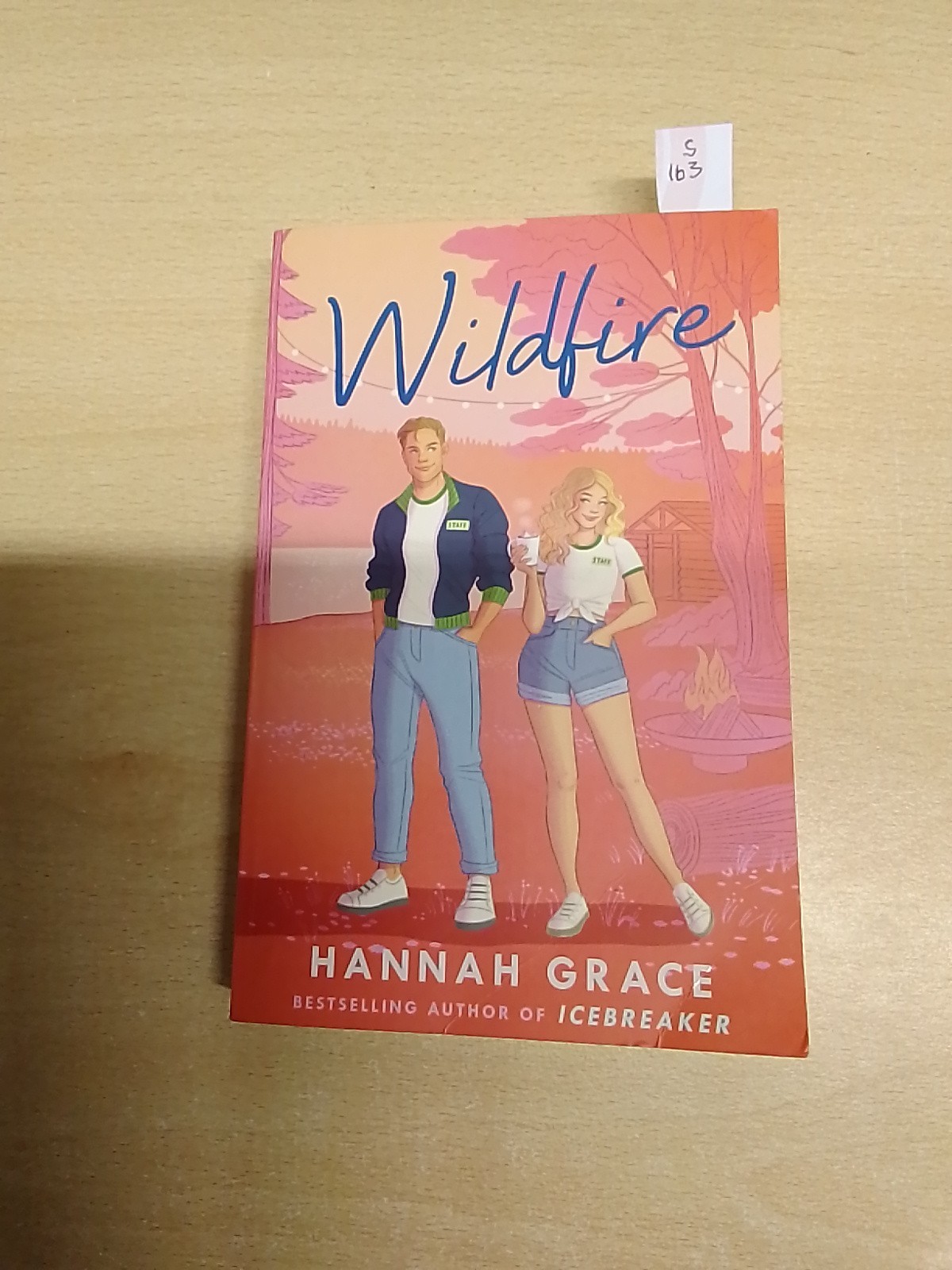 Wildfire: From the bestselling author of Icebreaker by Hannah Grace