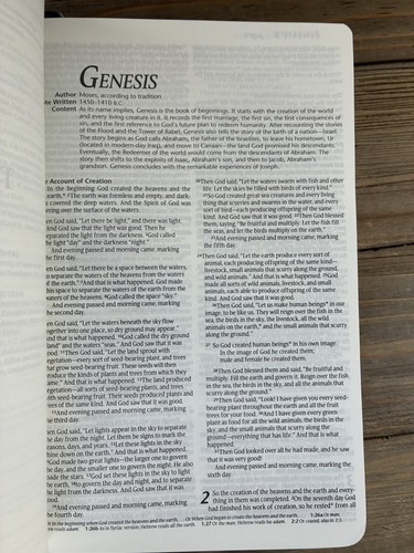 Leather Bound Holy Bible New Living Translation Tyndale - Picture 6 of 11