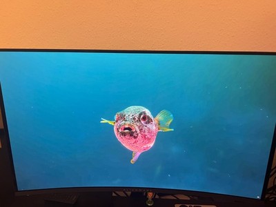 Dell Alienware AW3225QF Curved-Monitor 80.32 cm (32'') 4K UHD - OLED