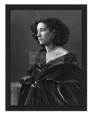 SARAH BERNHARDT SEXY GORGEOUS FRENCH ACTRESS 8X10 FRAMED PHOTO