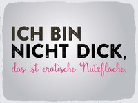 Blechschild 30X40 Cm Ich Bin Nicht Dick, Das Ist NutzfläChe Deko Schild Deko Ges