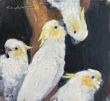 1920s Cockatiels Oil by Important CaLiFoRnia Female Artist JESSIE ARMS BOTKE