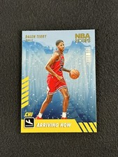 2022-23 NBA Hoops Winter DALEN TERRY Arriving Now Insert #18 Chicago Bulls